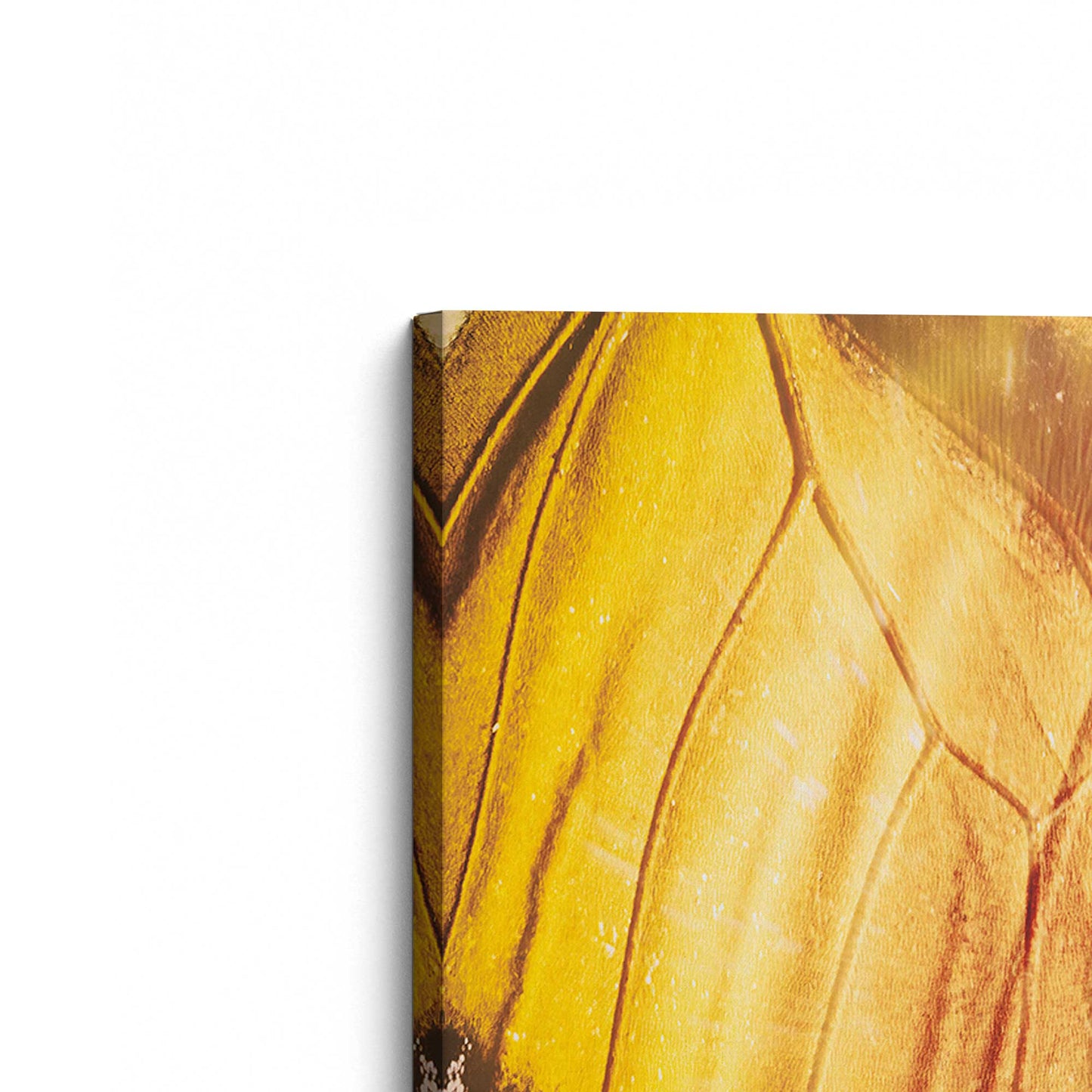 [Color:Stretched Canvas], Picture of the corner of the art