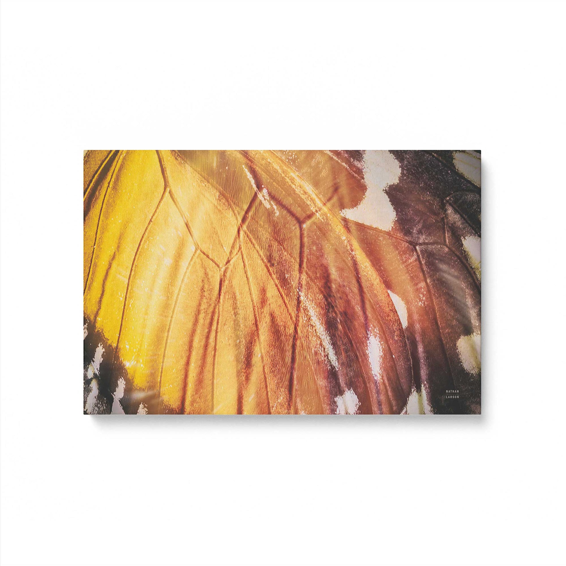 [Color:Stretched Canvas], Picture of art