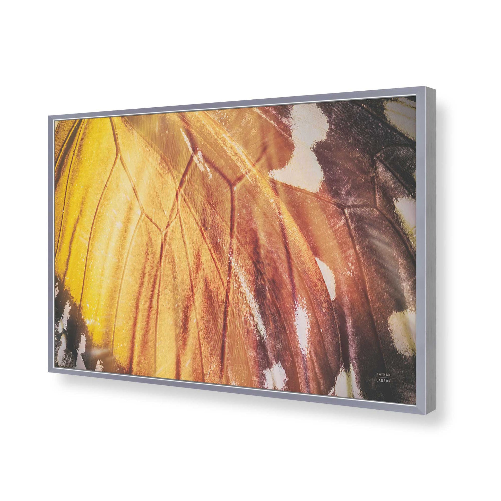 [Color:Polished Chrome], Picture of art in a Polished Chrome frame of the corner
