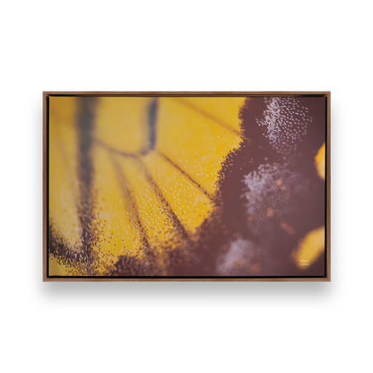 [Color:Walnut], Picture of art in a Walnut frame