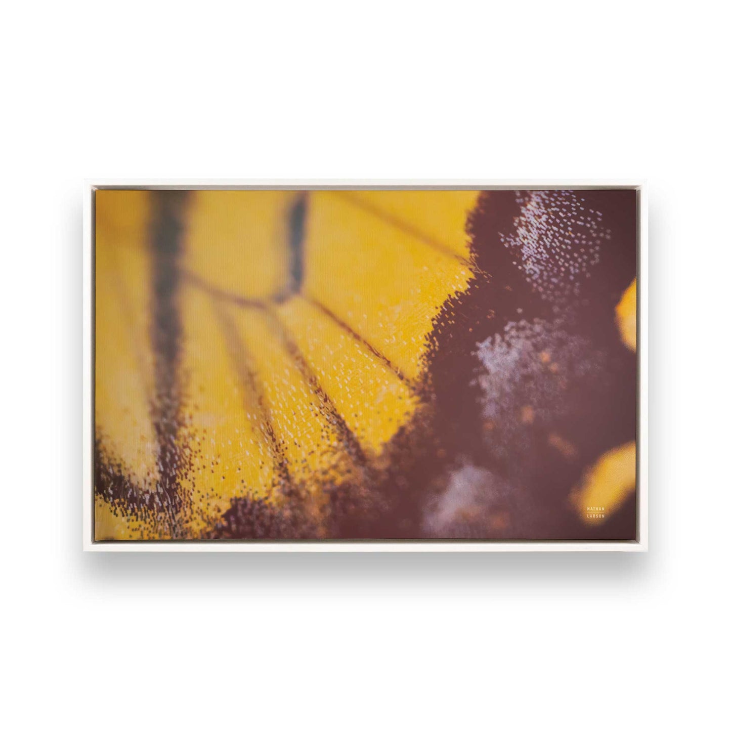 [Color:Opaque White], Picture of art in a White frame