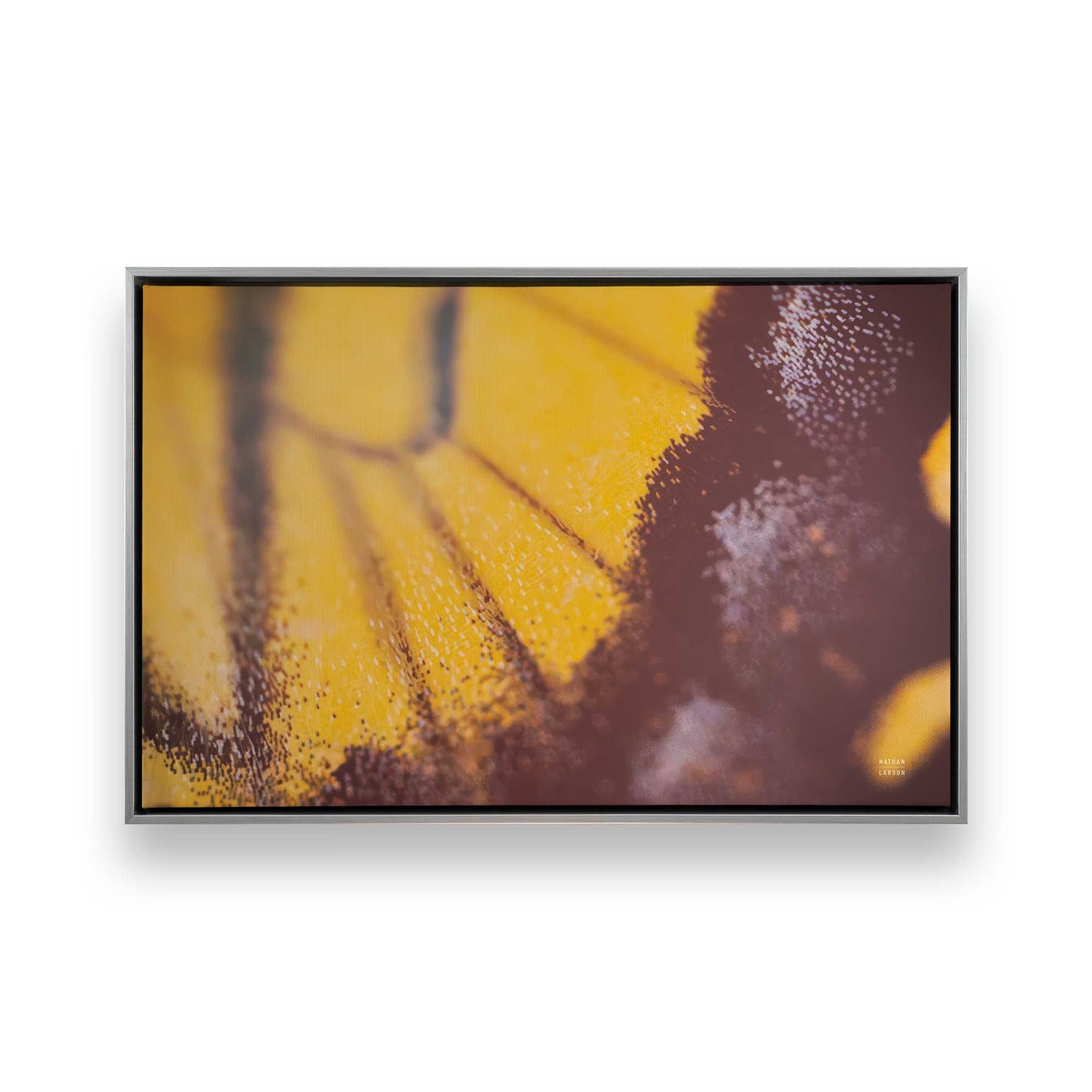 [Color:Polished Chrome], Picture of art in a Polished Chrome frame