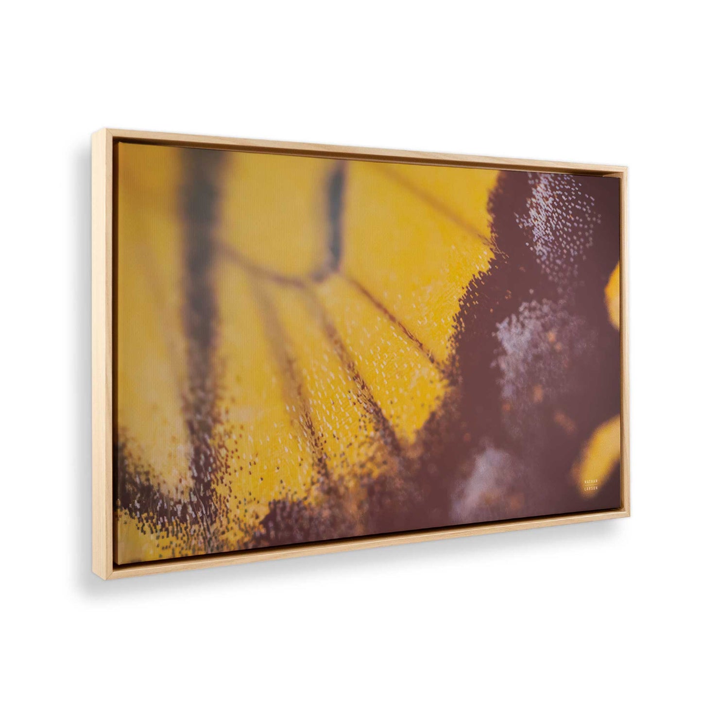 [Color:American Maple], Picture of the corner of the art