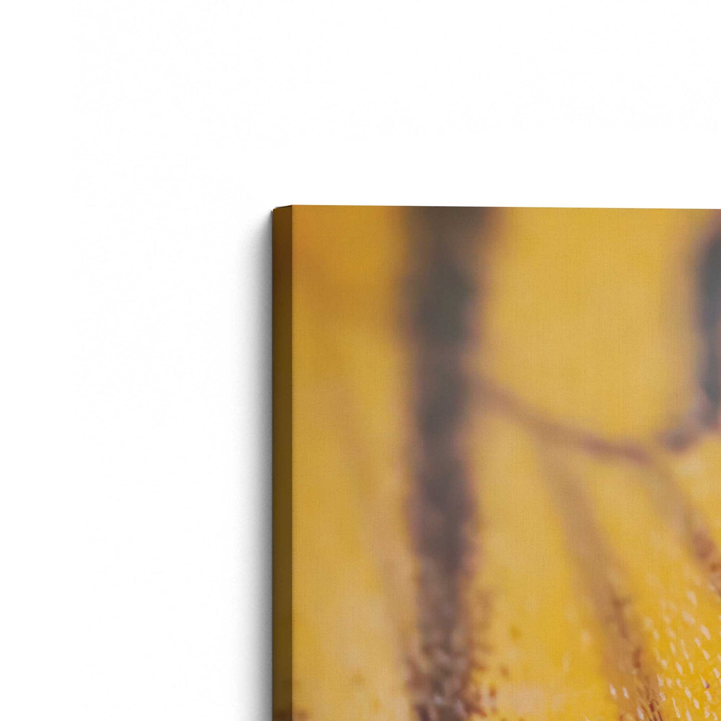 [Color:Stretched Canvas], Picture of the corner of the art