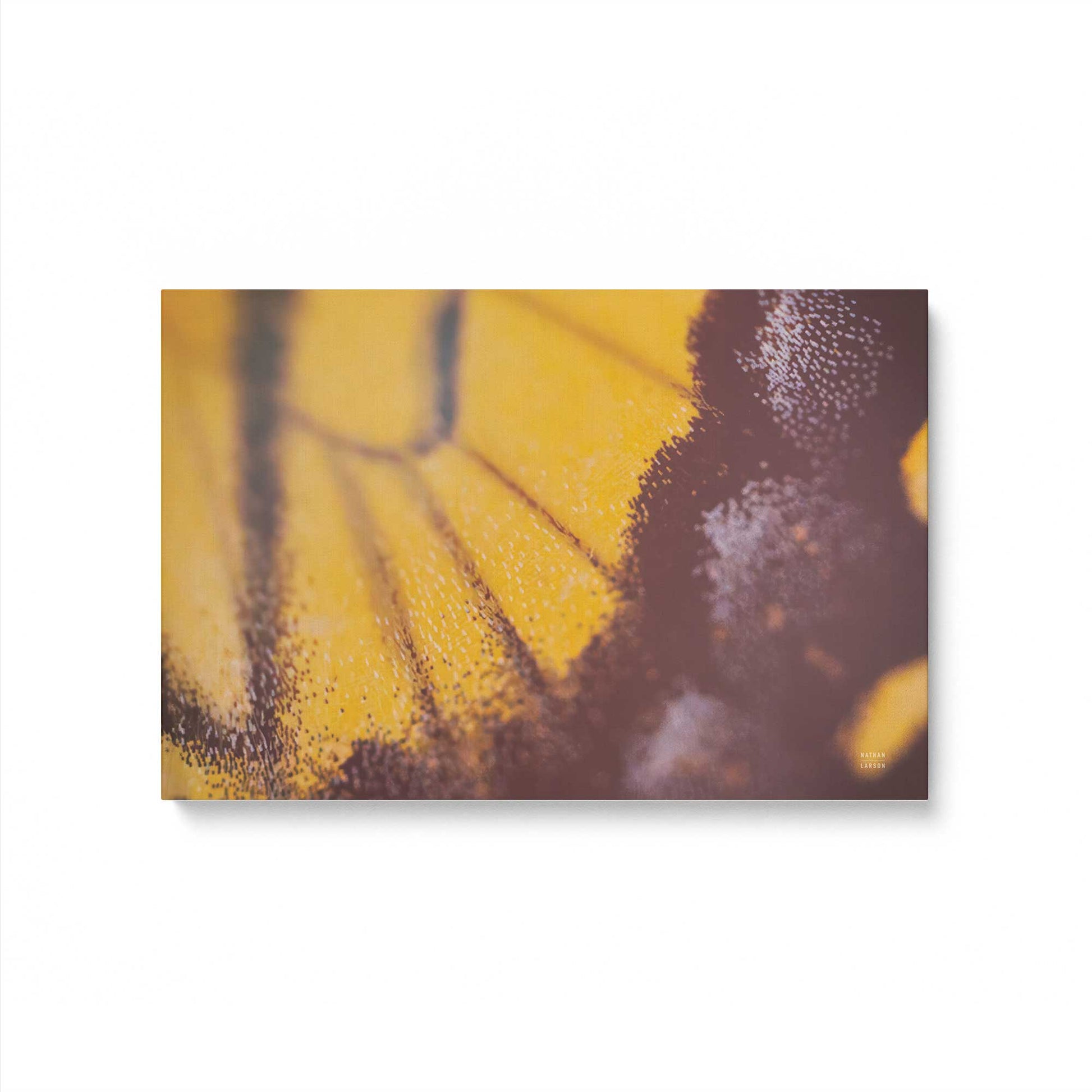 [Color:Stretched Canvas], Picture of art
