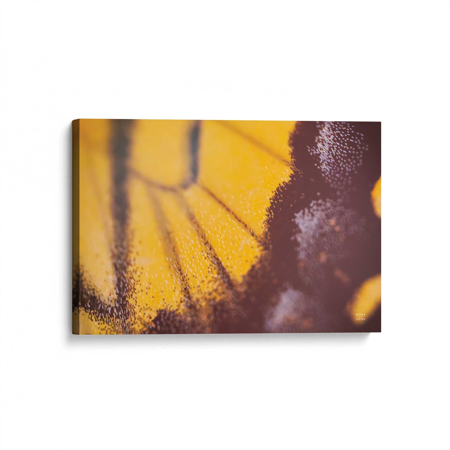 [Color:Stretched Canvas], Picture of art at an angle