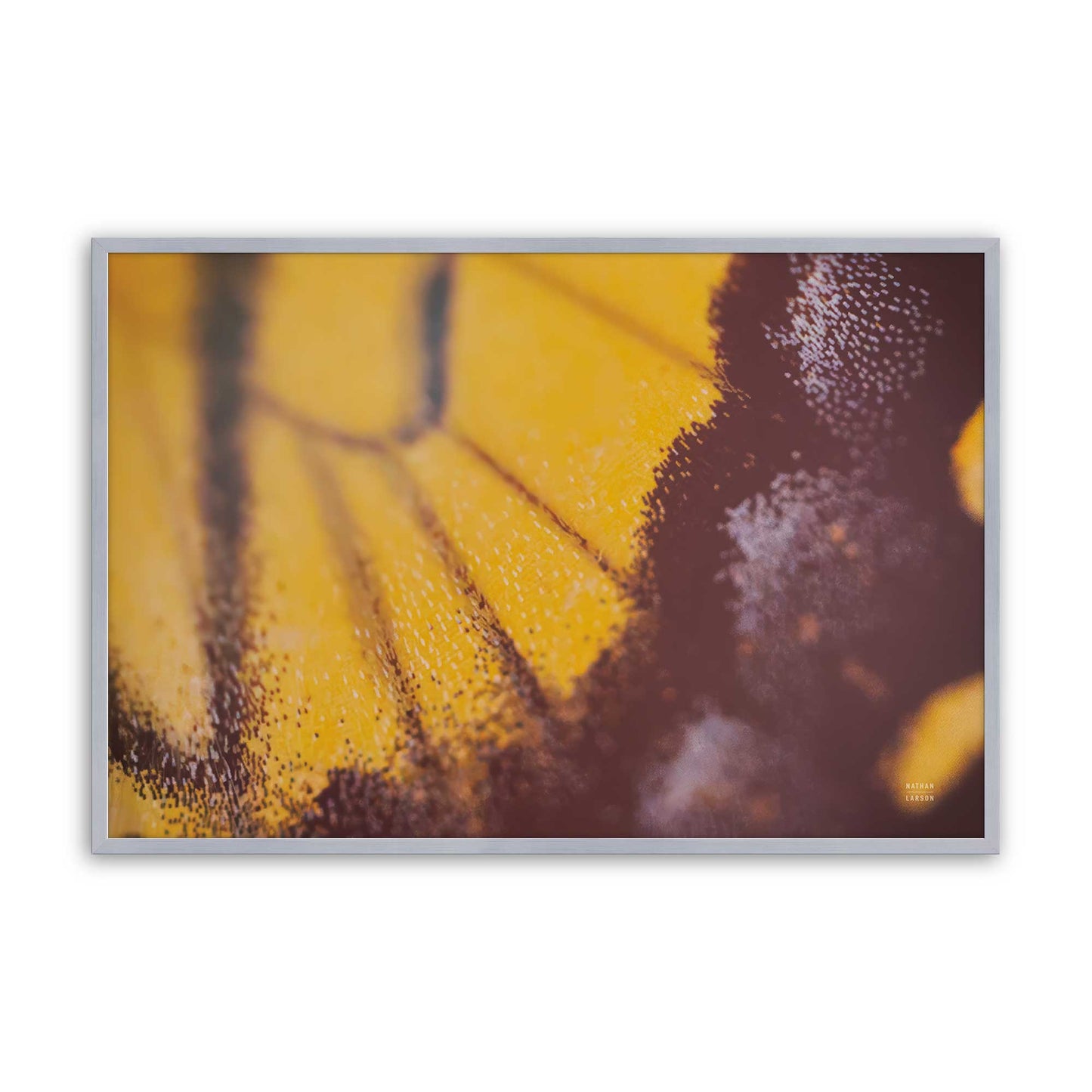 [Color:Polished Chrome], Picture of art in a Polished Chrome frame
