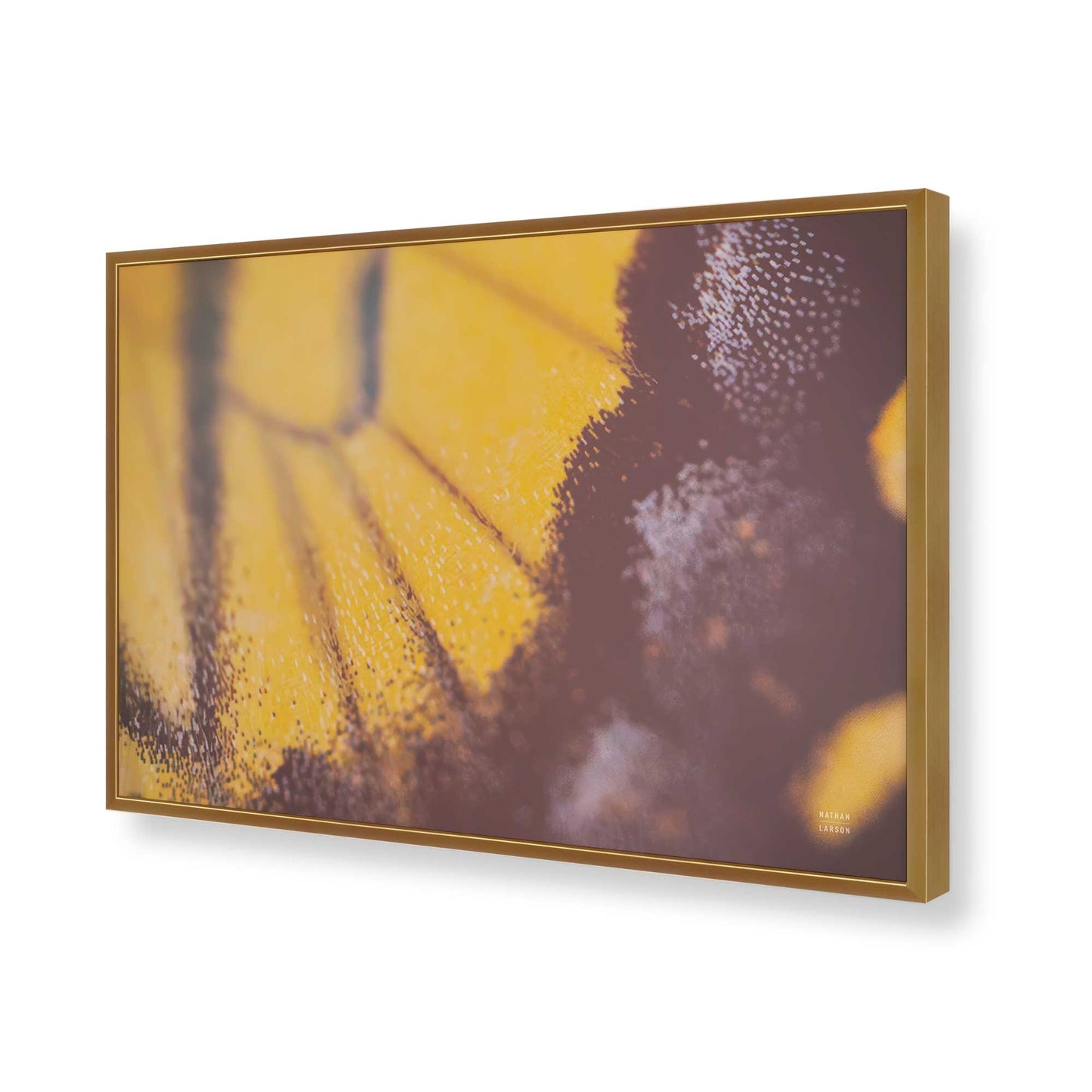 [Color:Polished Gold], Picture of art in a Polished Gold frame of the corner
