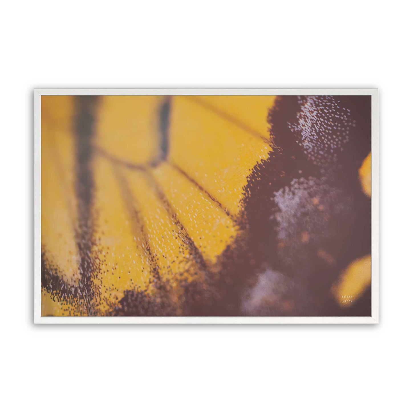 [Color:Opaque White], Picture of art in a Opaque White frame