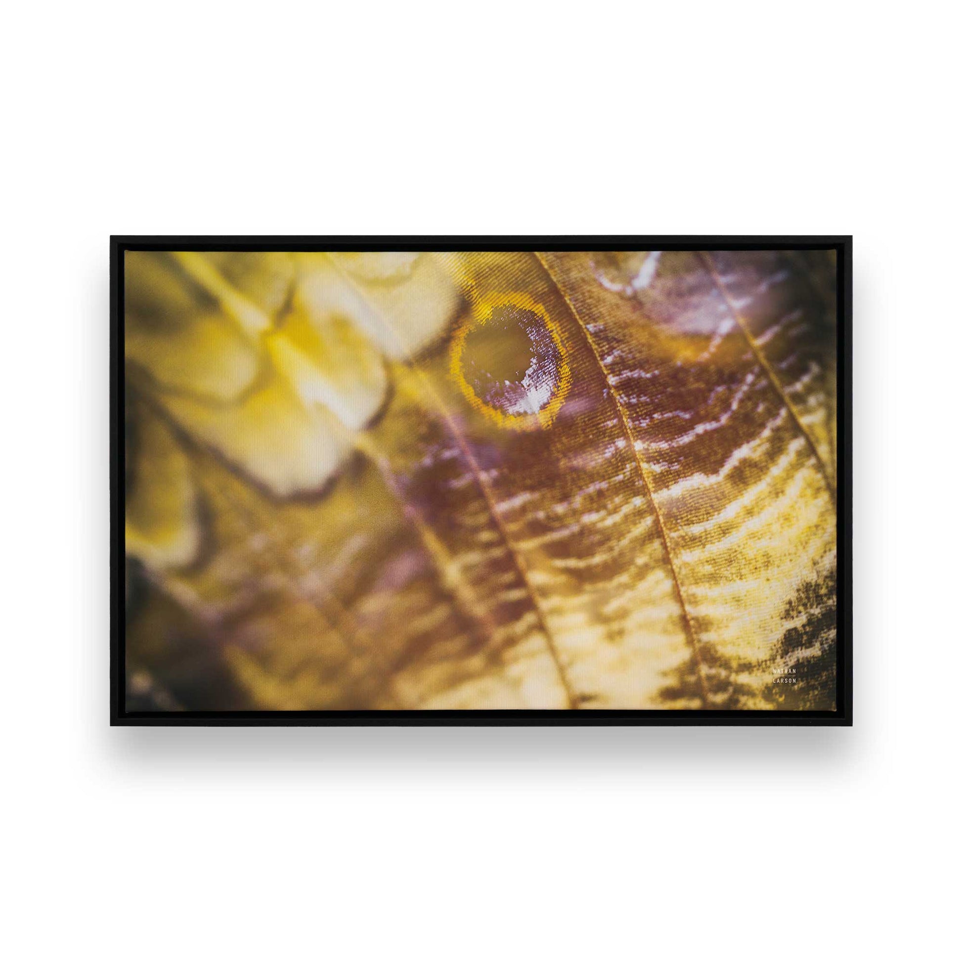 [Color:Satin Black], Picture of art in a Satin Black frame