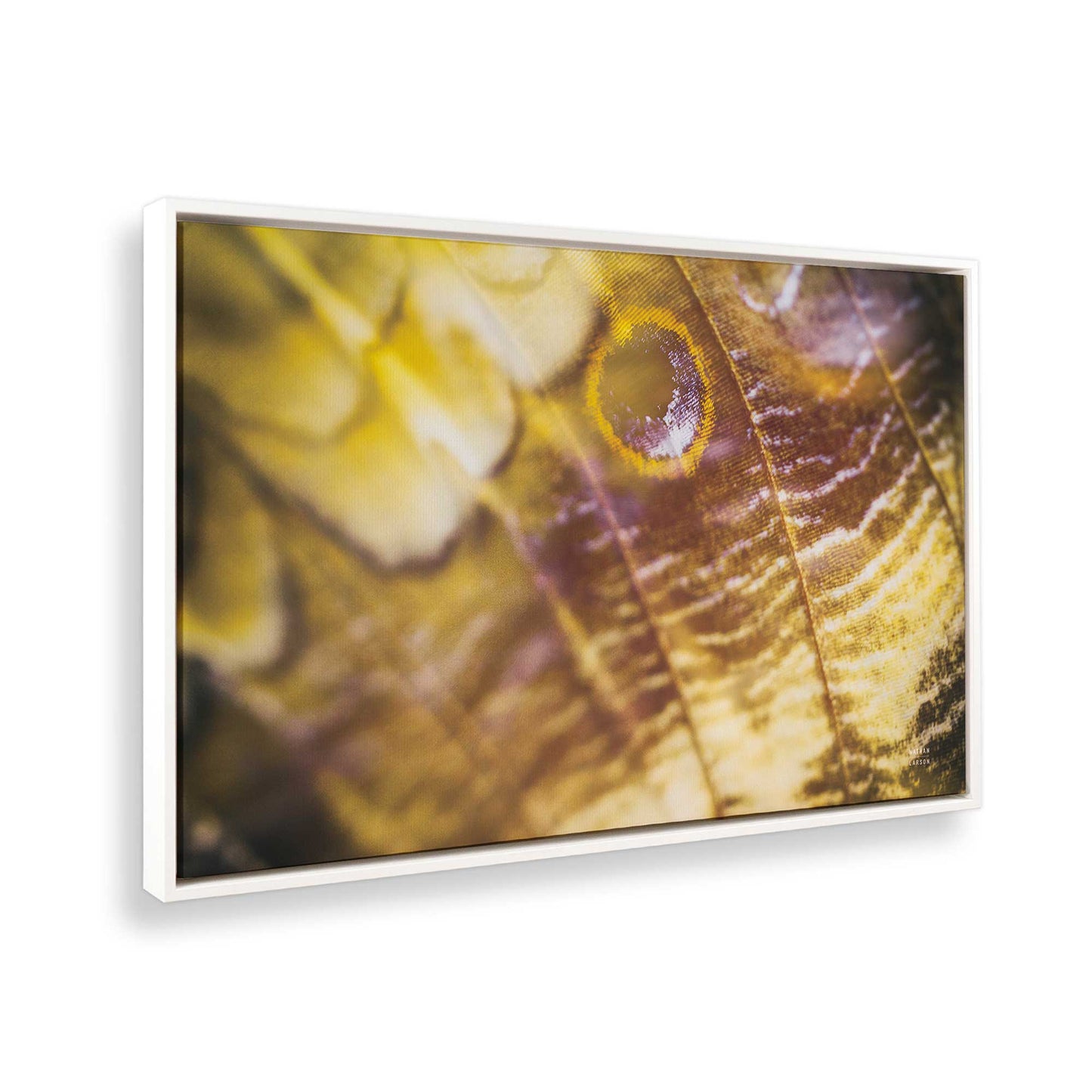 [Color:Opaque White], Picture of the corner of the art