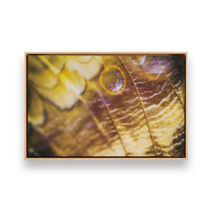 [Color:American Maple], Picture of art in a American Maple frame