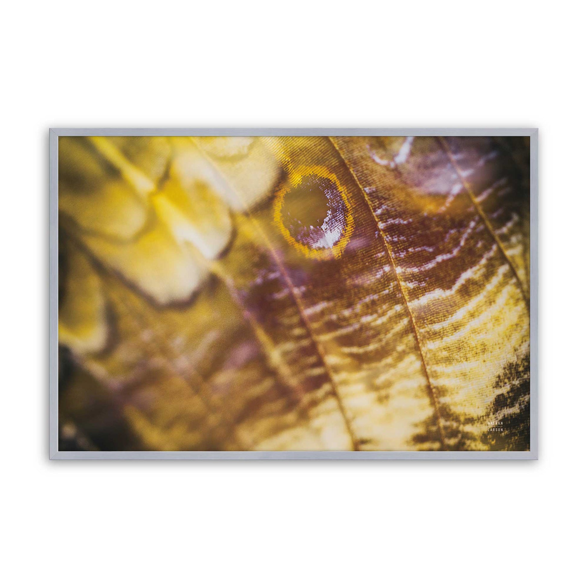 [Color:Polished Chrome], Picture of art in a Polished Chrome frame