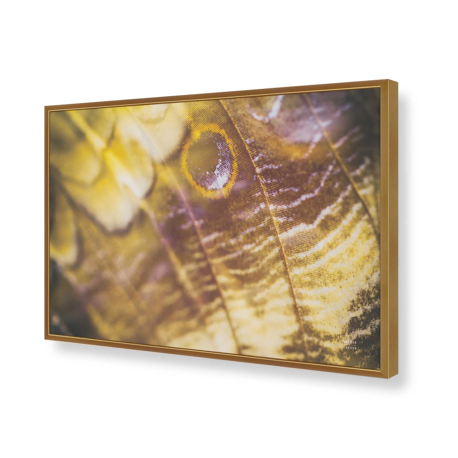 [Color:Polished Gold], Picture of art in a Polished Gold frame of the corner