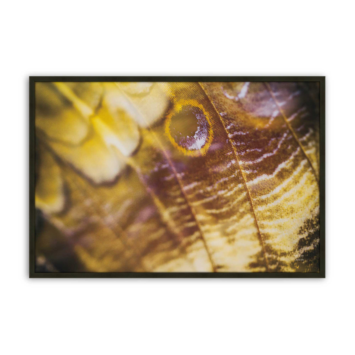 [Color:Satin Black], Picture of art in a Satin Black frame