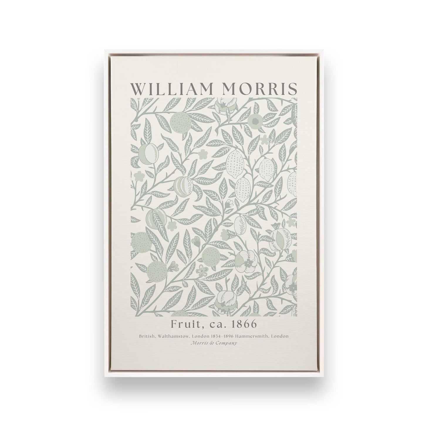 [Color:Opaque White], Picture of art in a White frame
