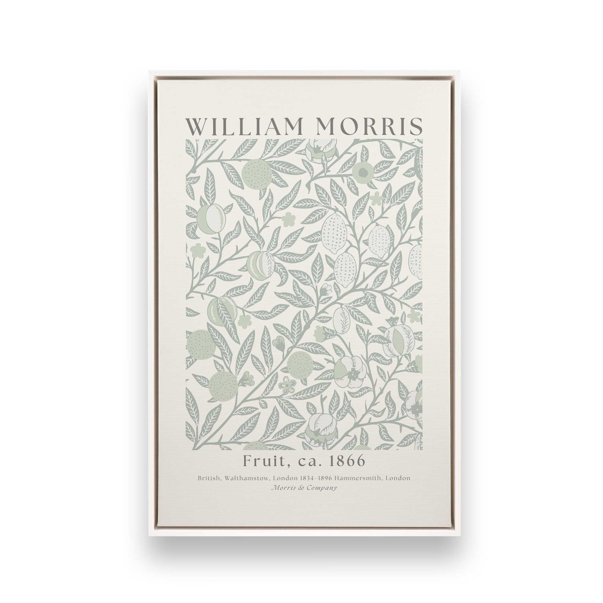 [Color:Opaque White], Picture of art in a White frame