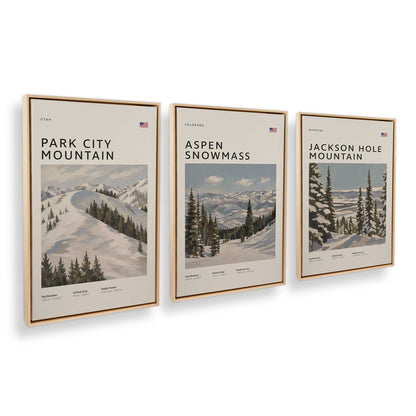 [Color:American Maple], Picture of art in an American Maple frame at an angle
