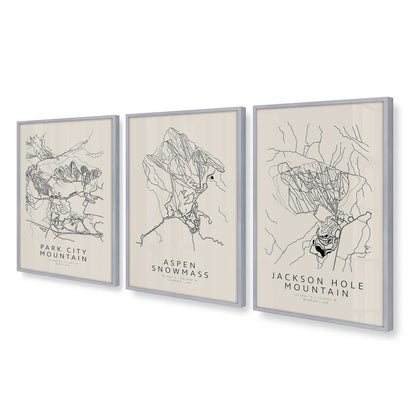 [Color:Polished Chrome], Picture of art in a Polished Chrome frame at an angle