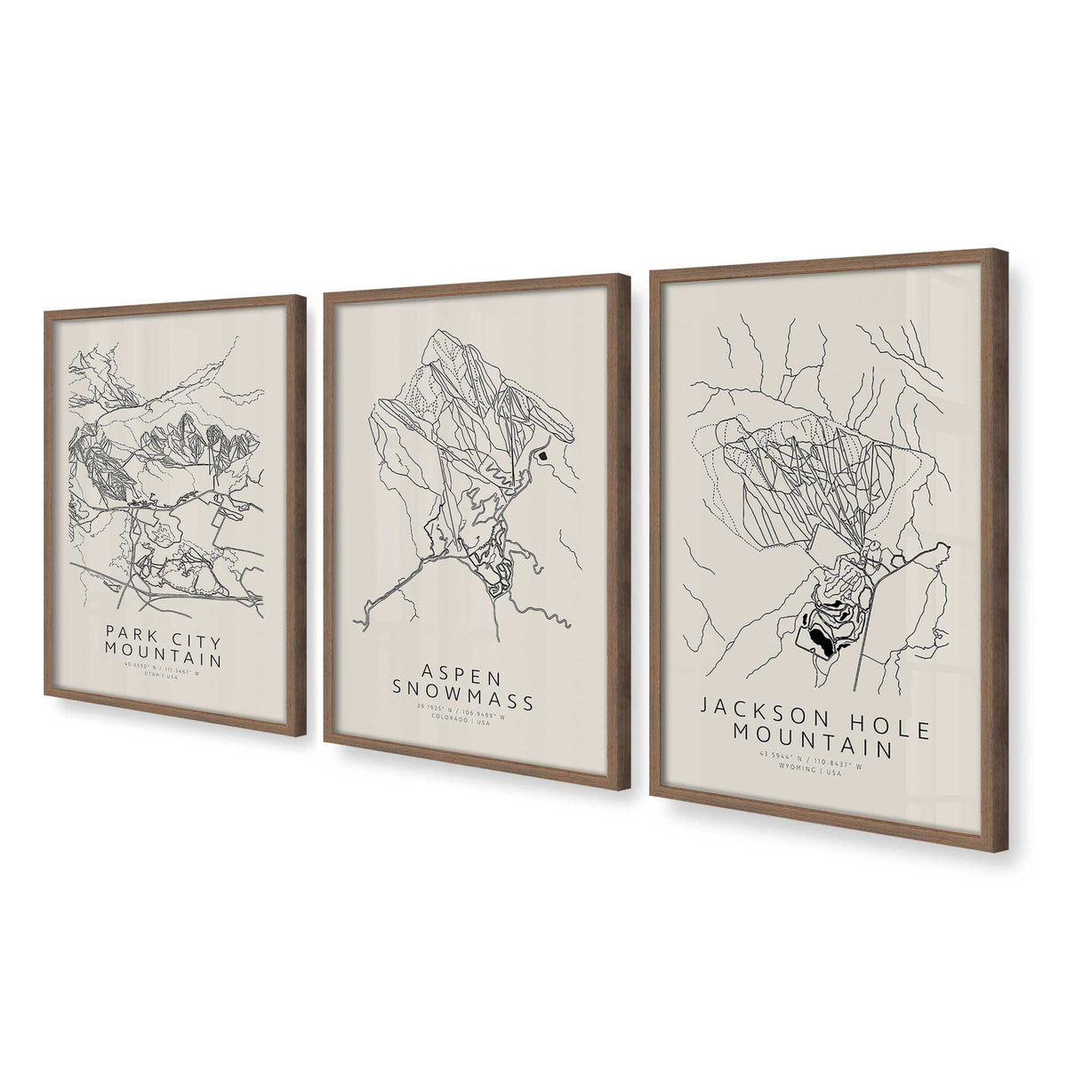 [Color:Walnut], Picture of art in a Walnut frame at an angle