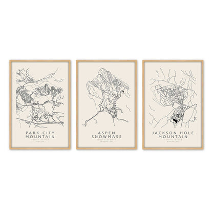 [Color:American Maple], Picture of art in an American Maple frame