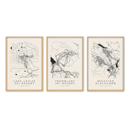 [Color:American Maple], Picture of art in an American Maple frame
