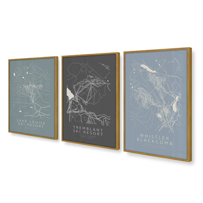 [Color:Polished Gold], Picture of art in a Polished Gold frame at an angle