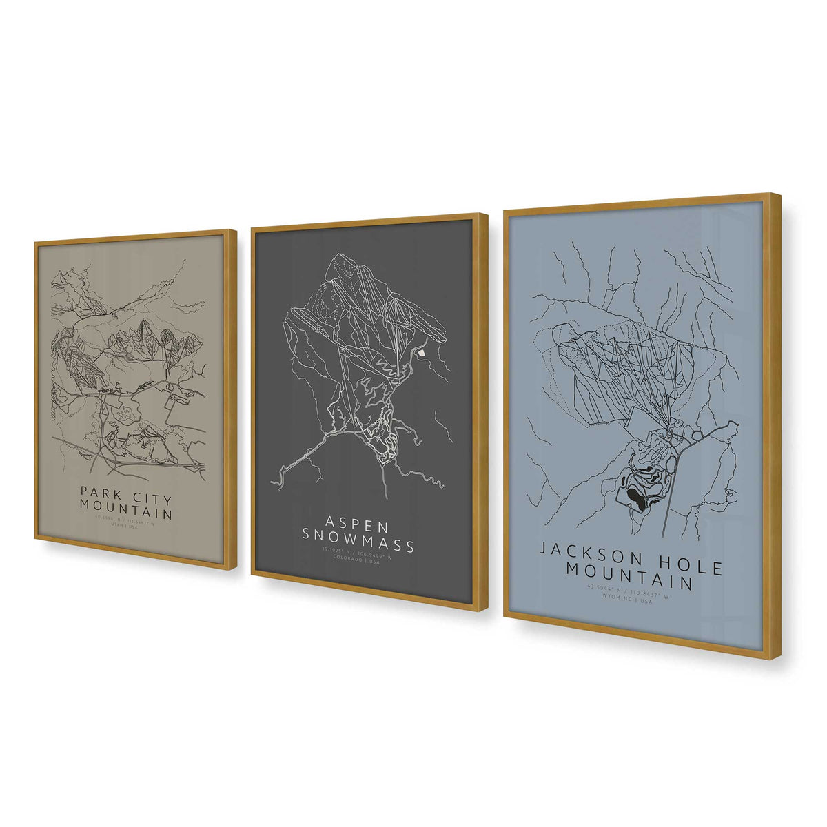 [Color:Polished Gold], Picture of art in a Polished Gold frame at an angle