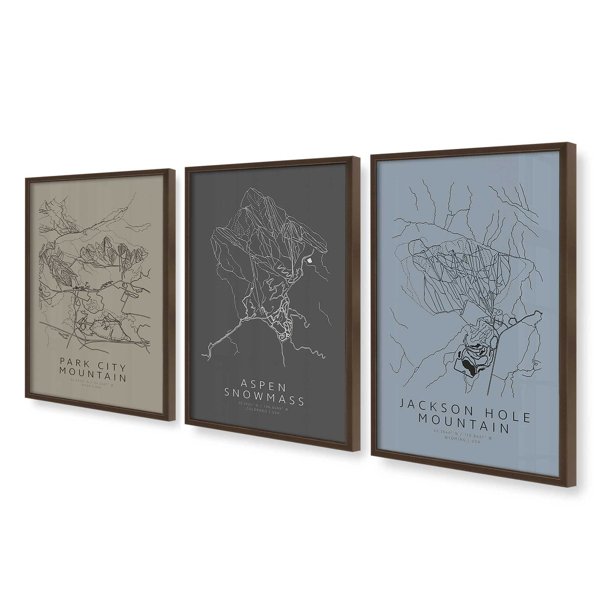 [Color:Belvinder Brown], Picture of art in a Belvinder Brown frame at an angle