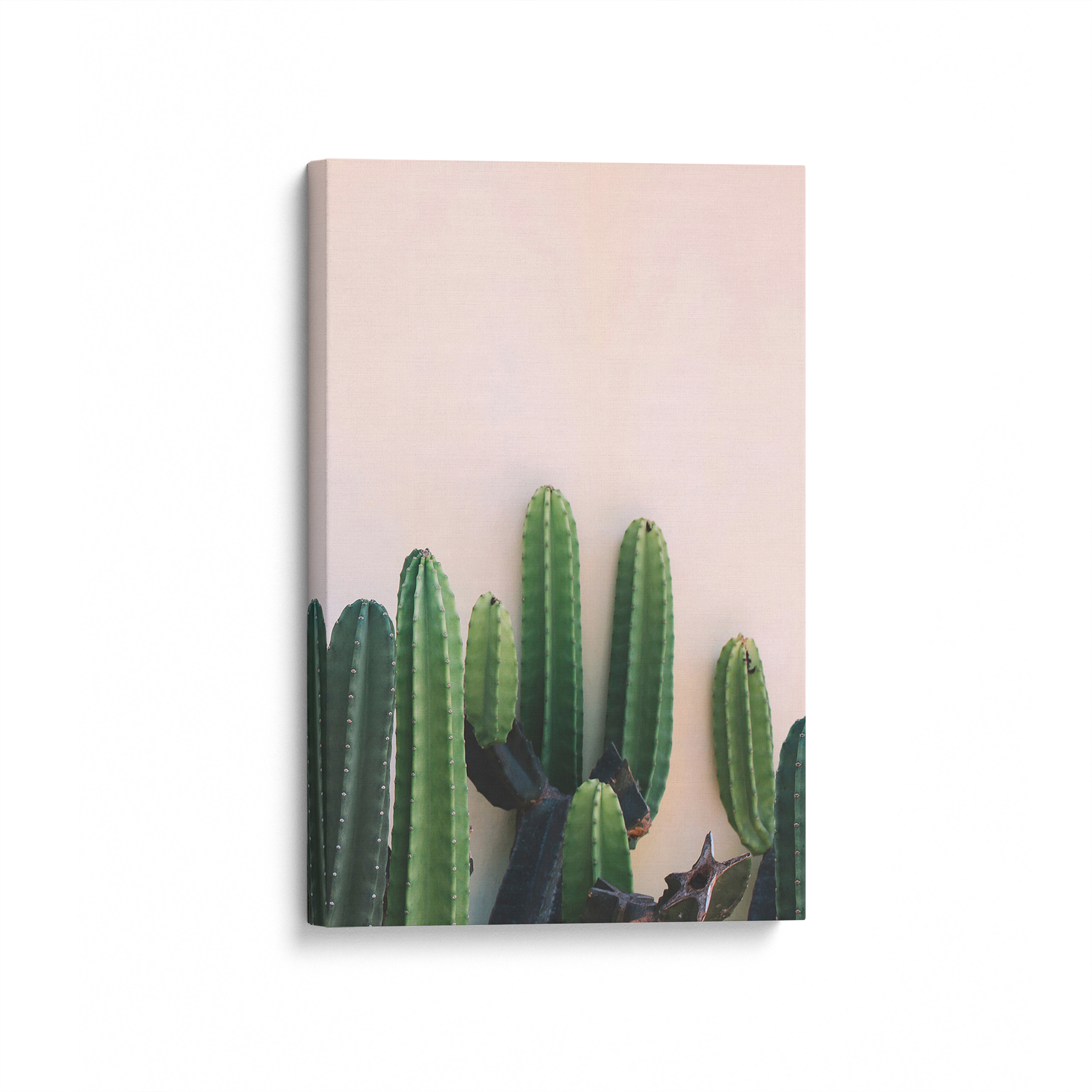 [color:Stretched Canvas], Picture of art at an angle