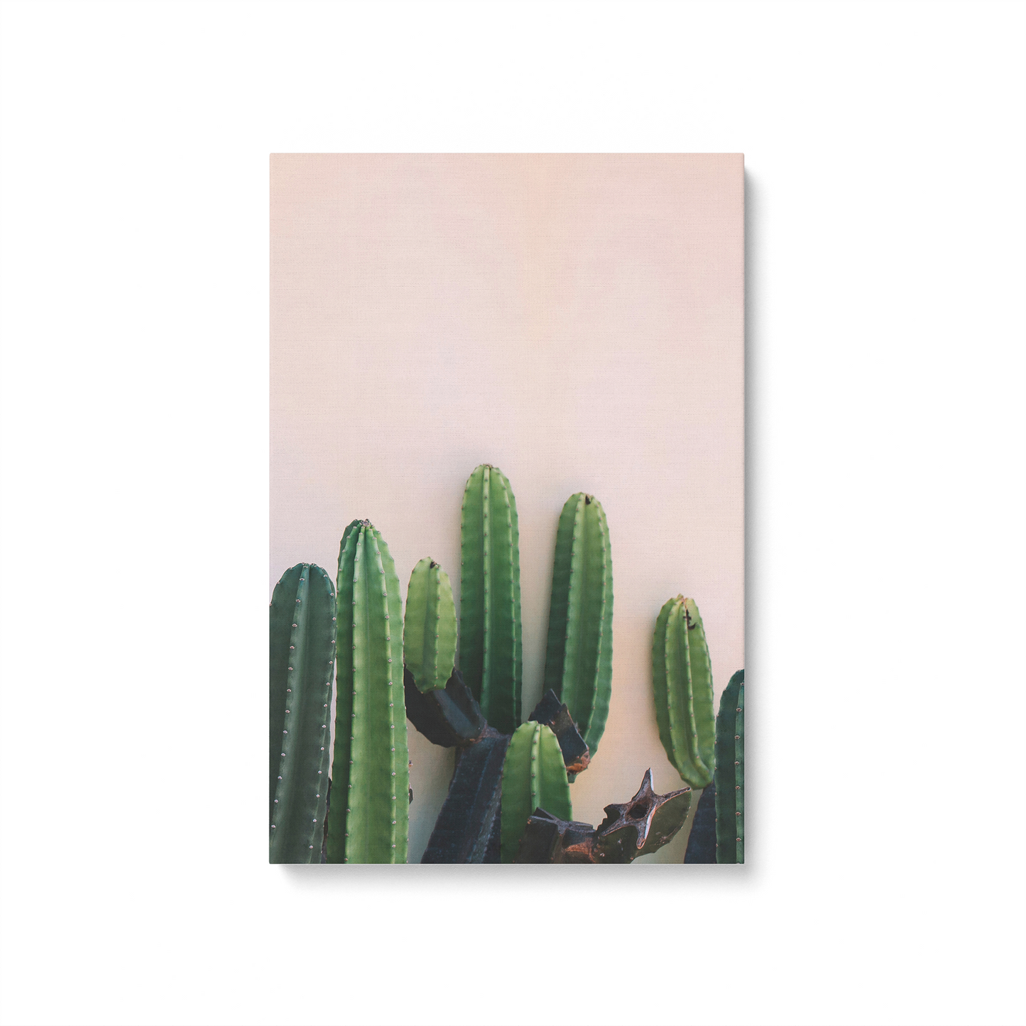 [color:Stretched Canvas], Picture of art