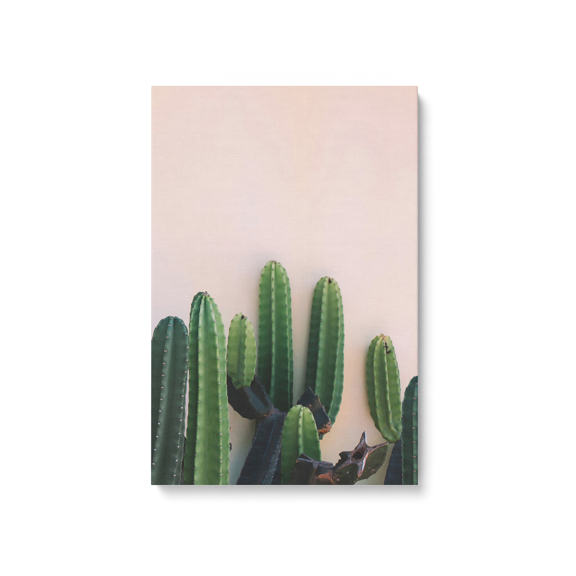 [color:Stretched Canvas], Picture of art