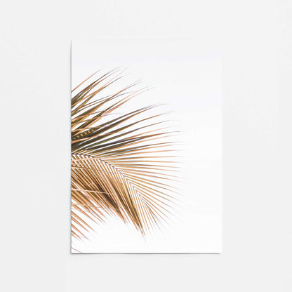 [color:Rolled Print], Picture of close up of art