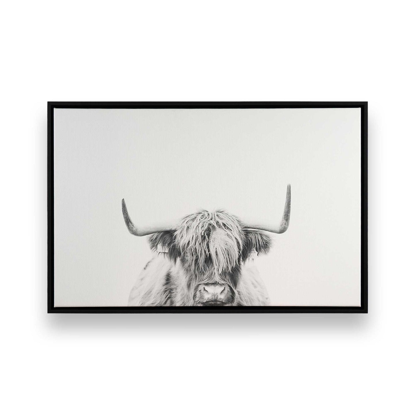 [Color:Satin Black], Front image of the art