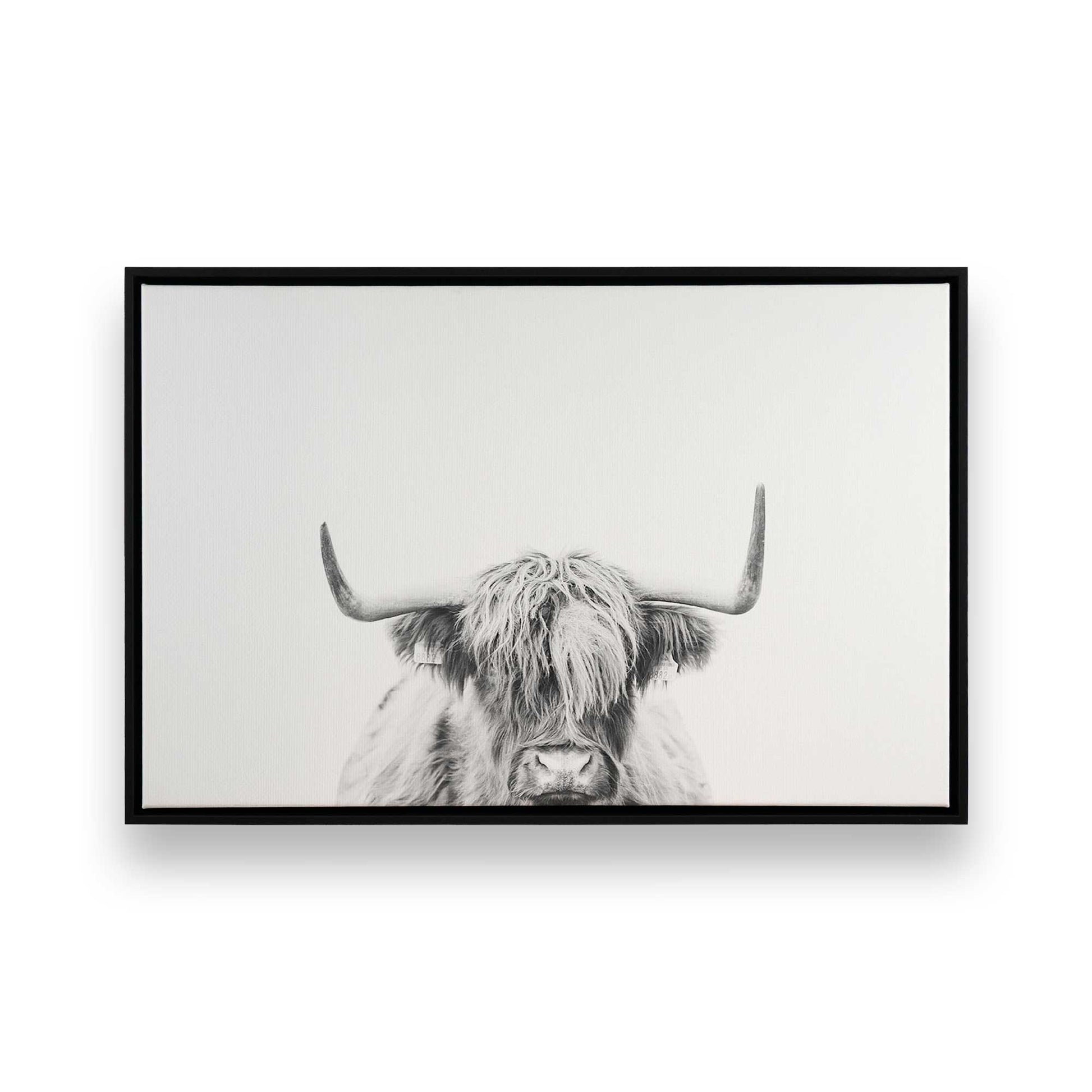 [Color:Satin Black], Front image of the art