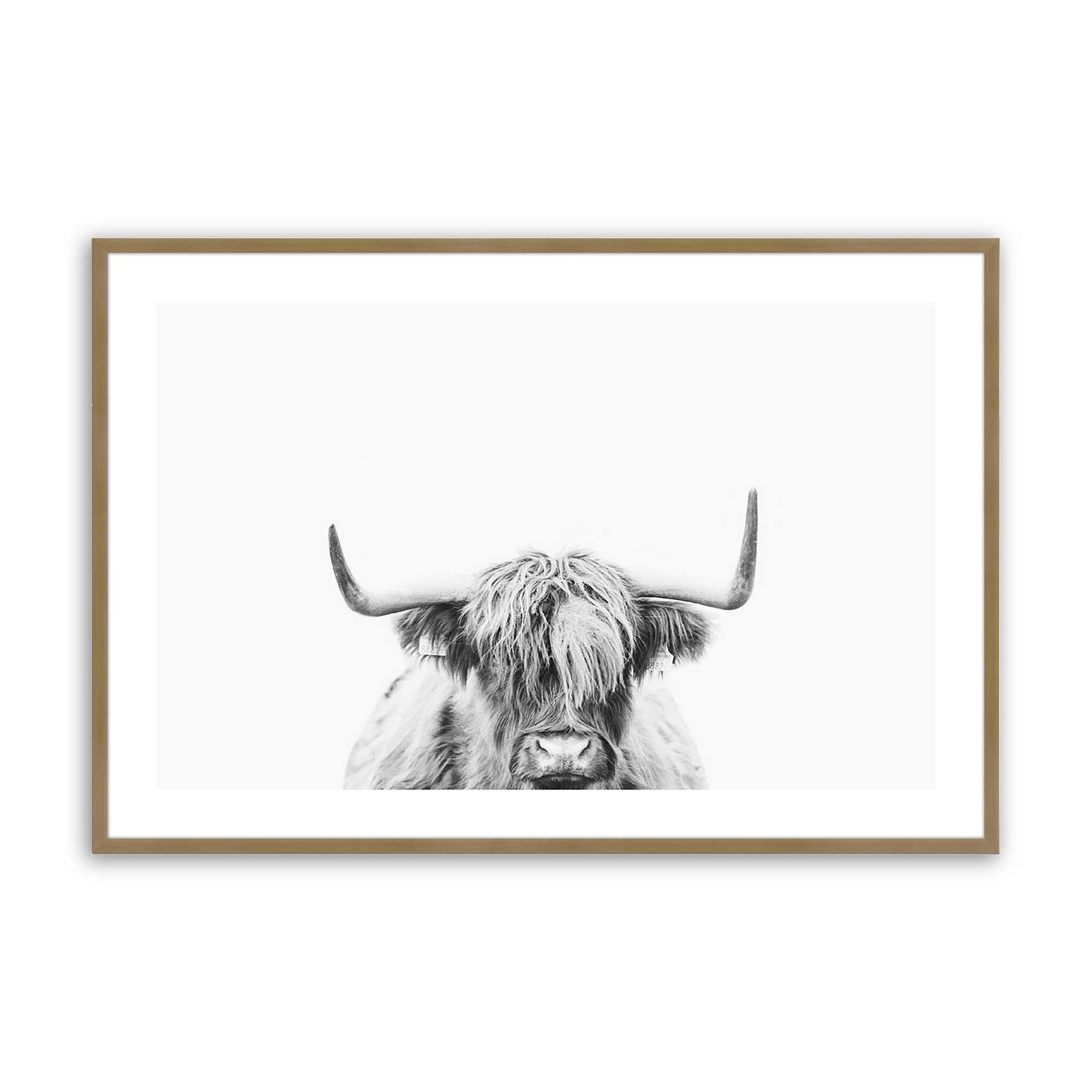[Color:Brushed Gold], Picture of art in a Brushed Gold frame