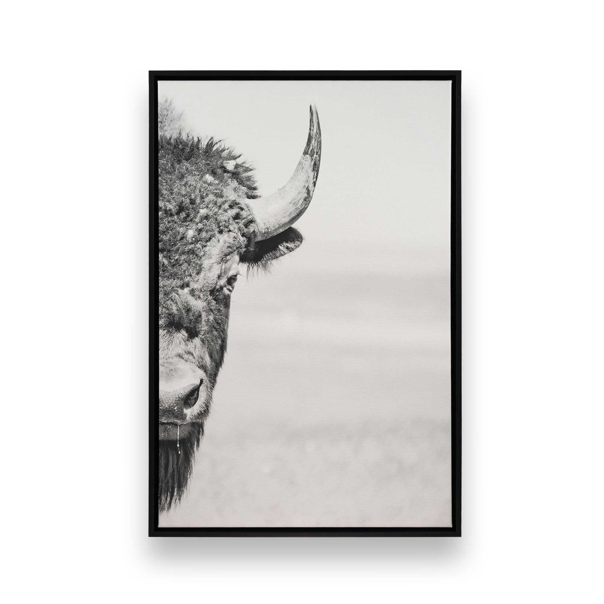 [Color:Satin Black], Front image of the art