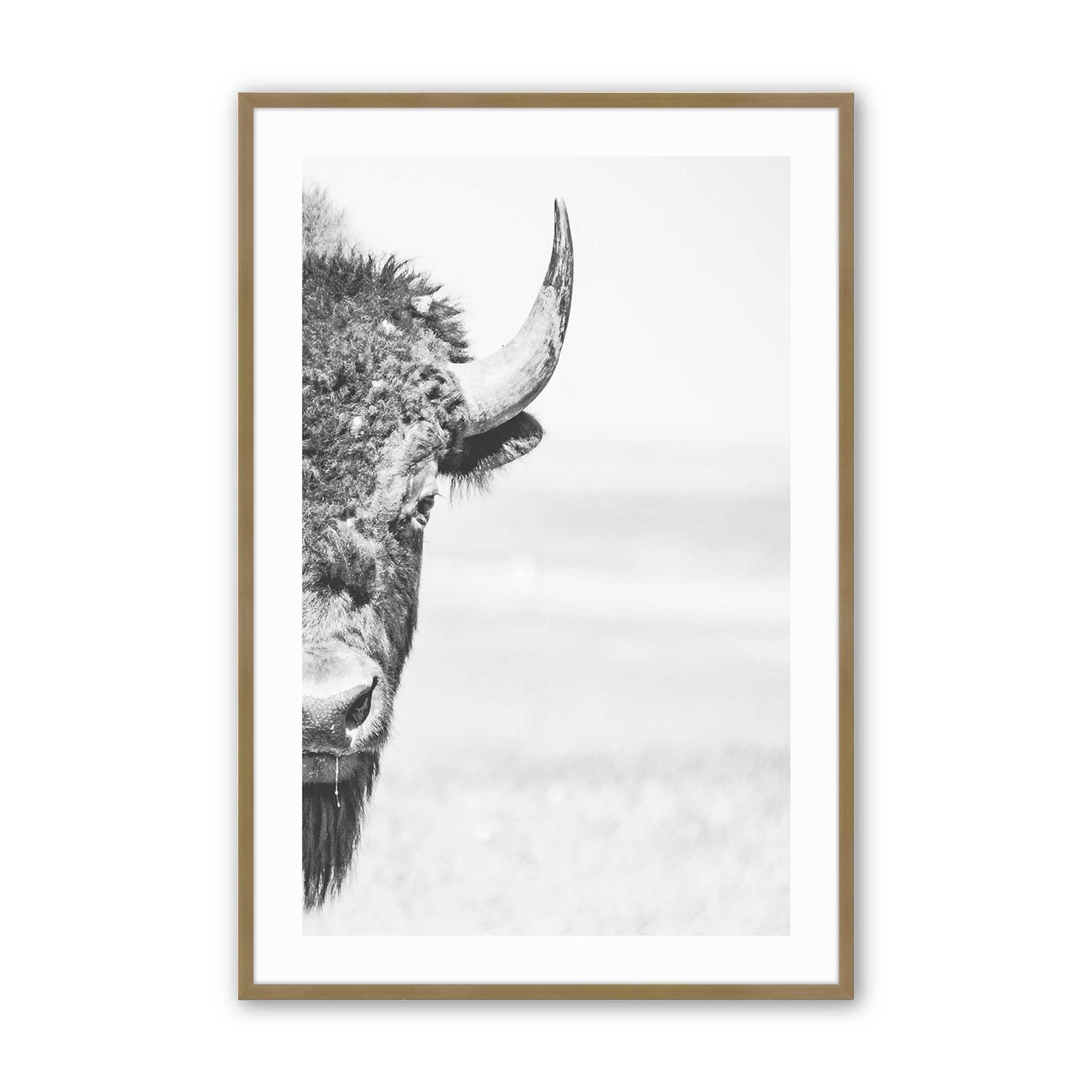 [Color:Brushed Gold], Picture of art in a Brushed Gold frame