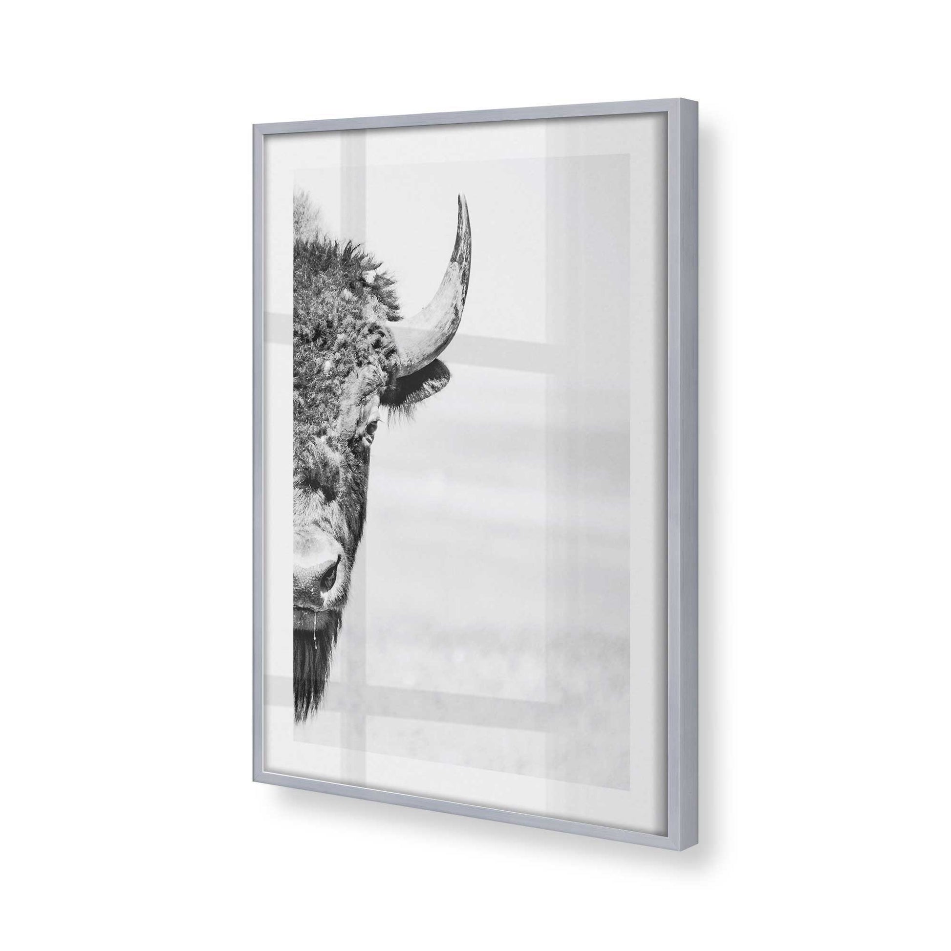 [Color:Polished Chrome], Picture of art in a Polished Chrome frame at an angle