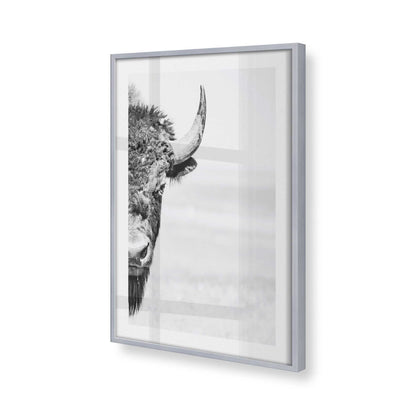 [Color:Polished Chrome], Picture of art in a Polished Chrome frame at an angle