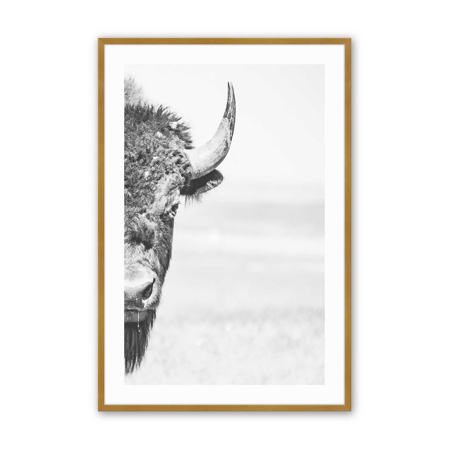 [Color:Polished Gold], Picture of art in a Polished Gold frame