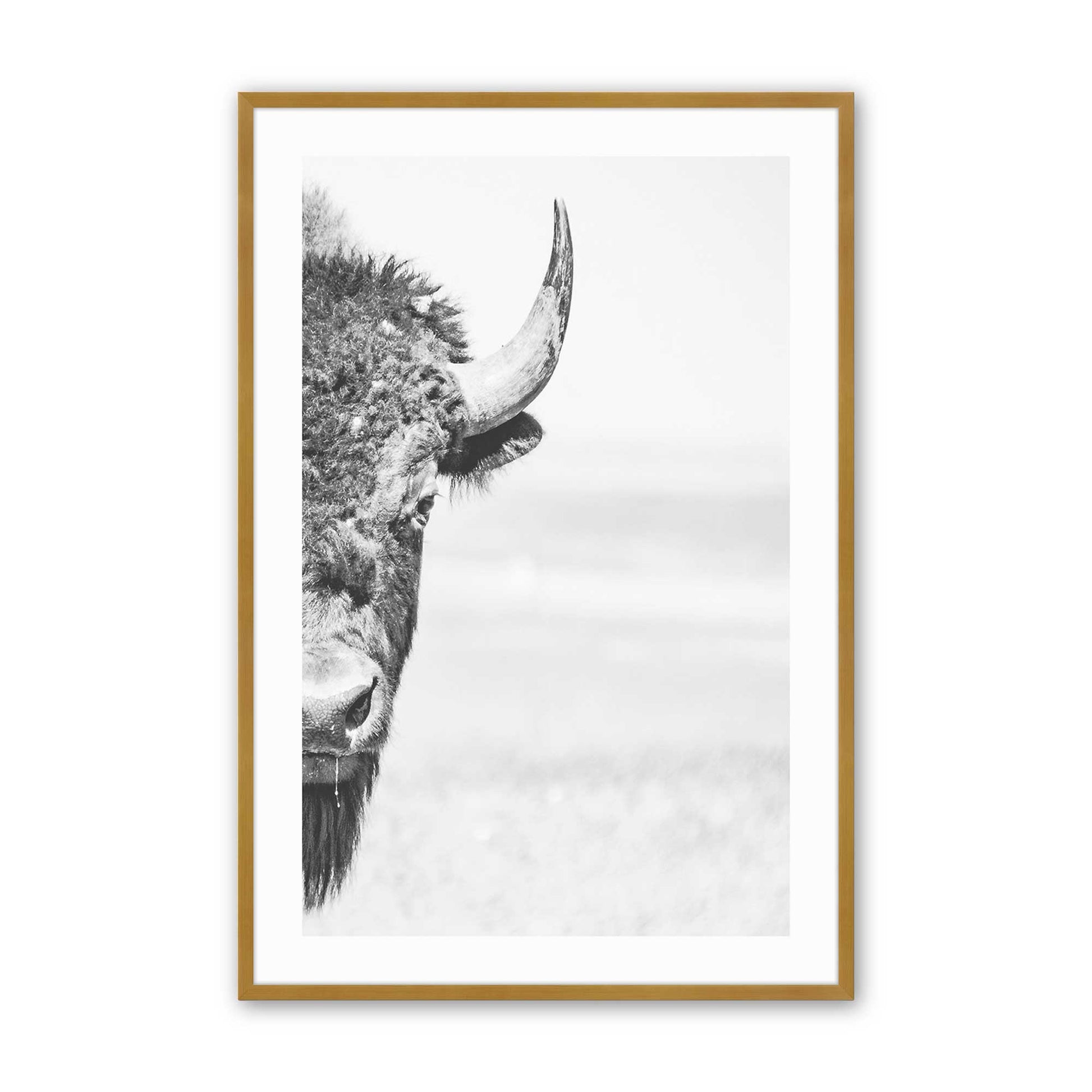 [Color:Polished Gold], Picture of art in a Polished Gold frame