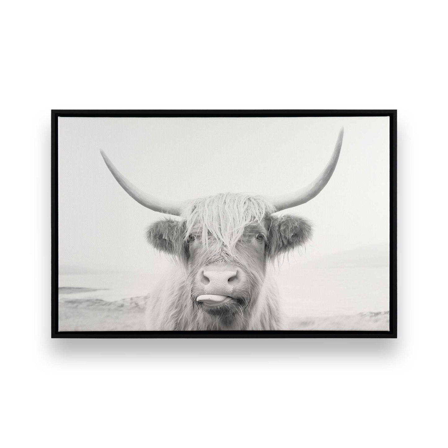 [Color:Satin Black], Front image of the art