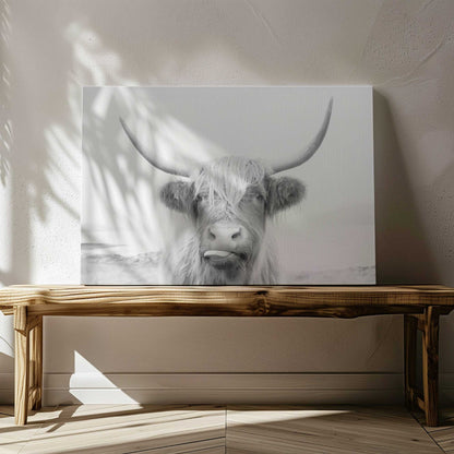[LIFESTYLE],[SPECIAL],  Picture of art in a room