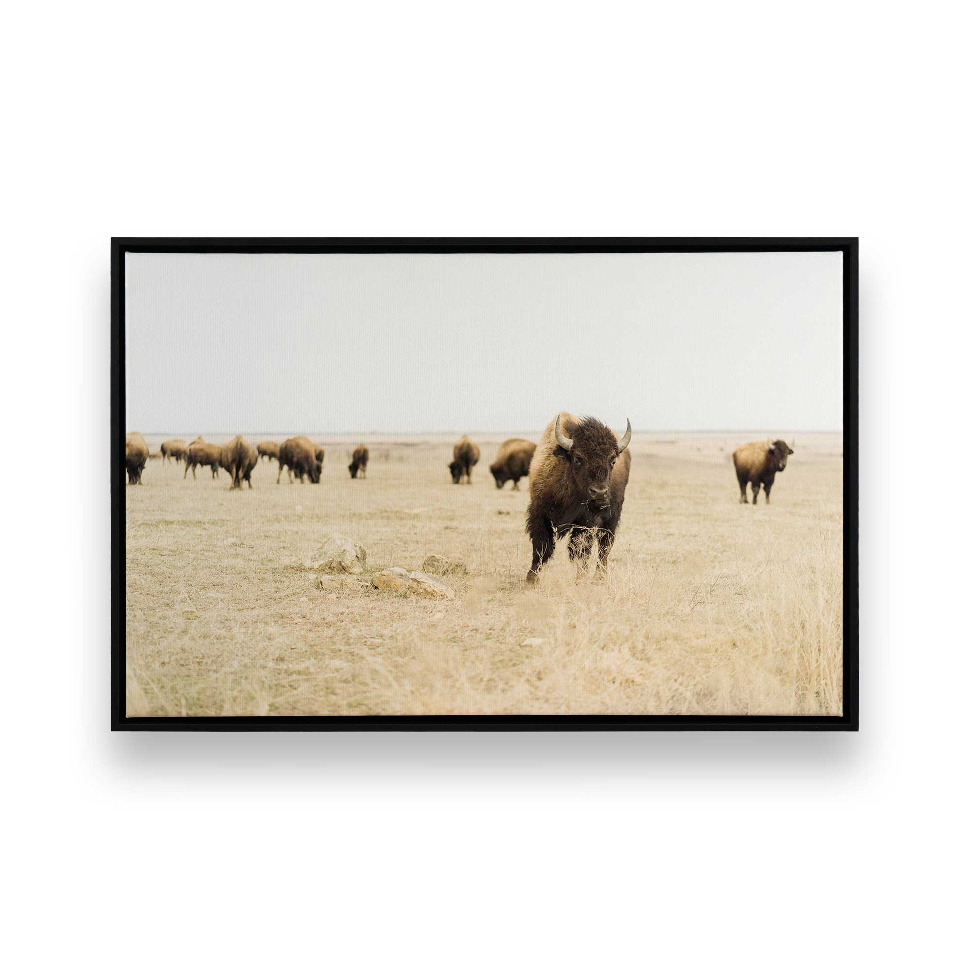 [Color:Satin Black], Front image of the art