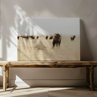 [LIFESTYLE],[SPECIAL],  Picture of art in a room