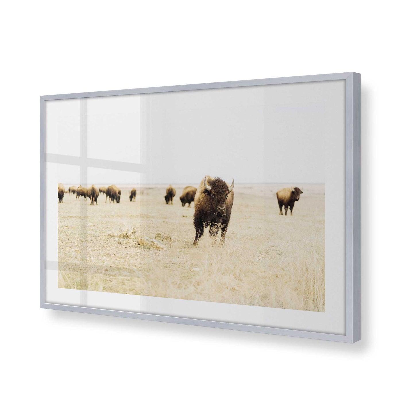 [Color:Polished Chrome], Picture of art in a Polished Chrome frame at an angle