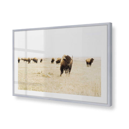 [Color:Polished Chrome], Picture of art in a Polished Chrome frame at an angle