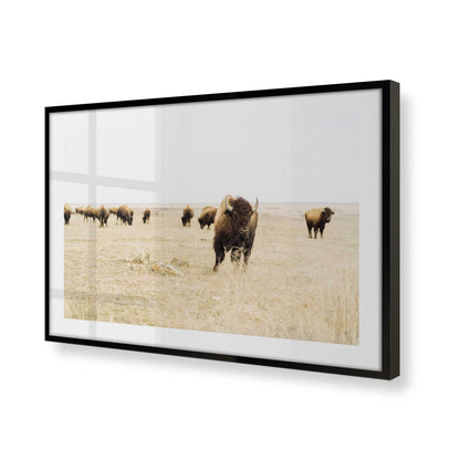 [Color:Satin Black], Picture of art in a Satin Black frame at an angle