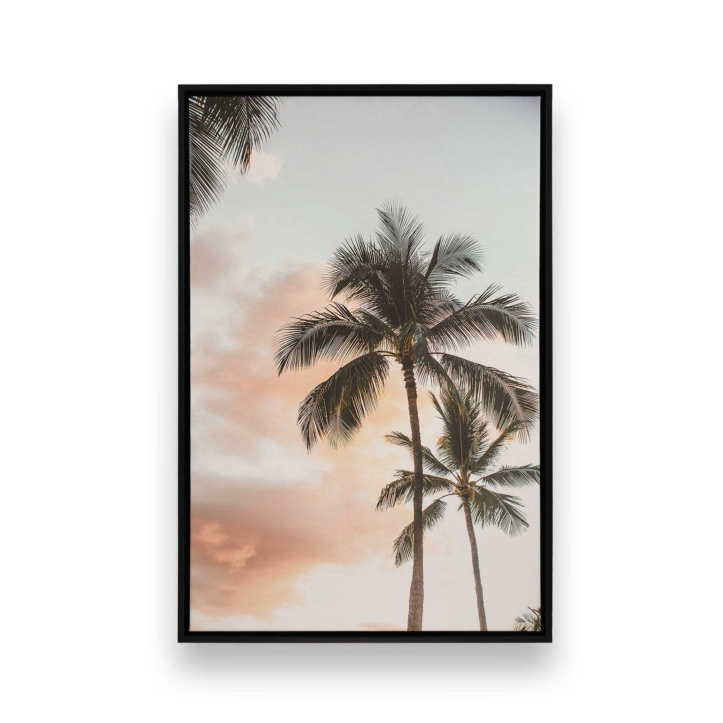 [Color:Satin Black], Front image of the art